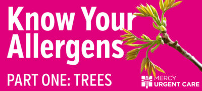 Know Your Allergens. Part one trees